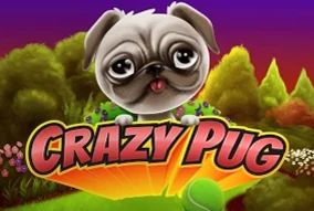 Crazy Pug