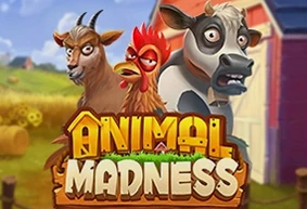 Animal Madness